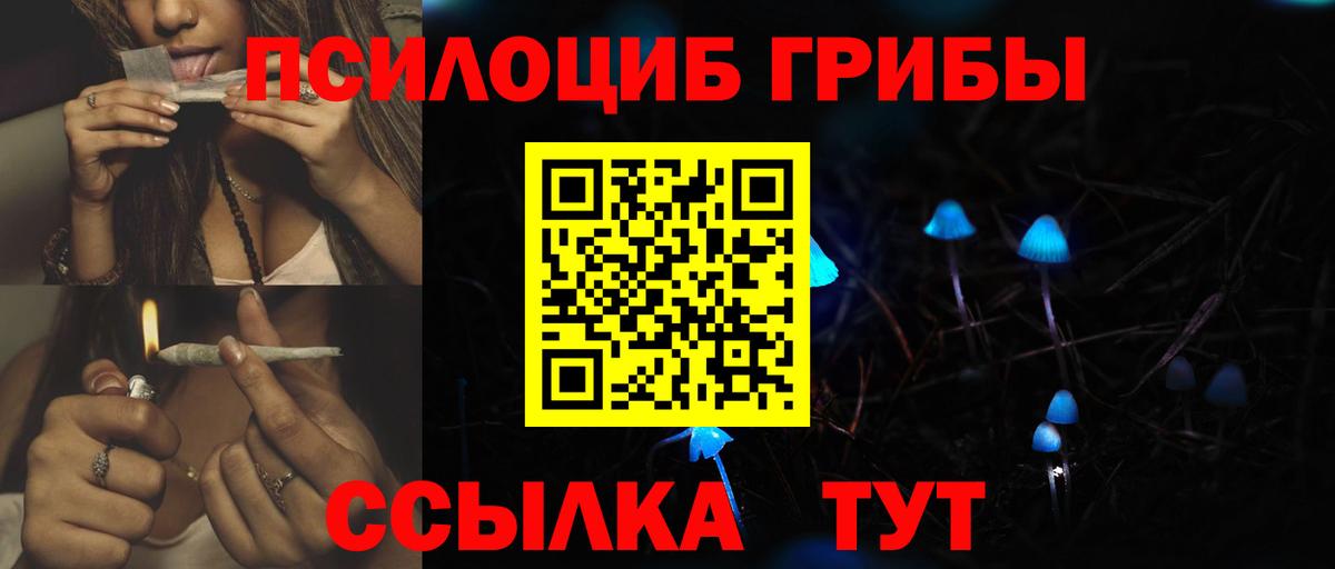 Галлюциногенные грибы мицелий  Вход с VPN  Галлюциногенные грибы мицелий  Всеволожск 